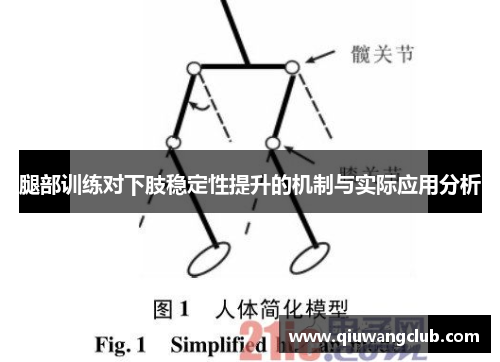 腿部训练对下肢稳定性提升的机制与实际应用分析