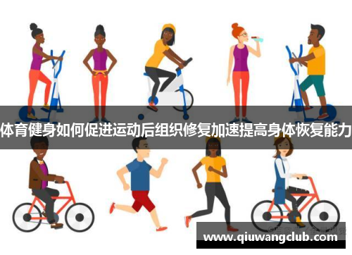 体育健身如何促进运动后组织修复加速提高身体恢复能力